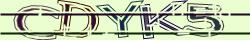 Retype the CAPTCHA code from the image
